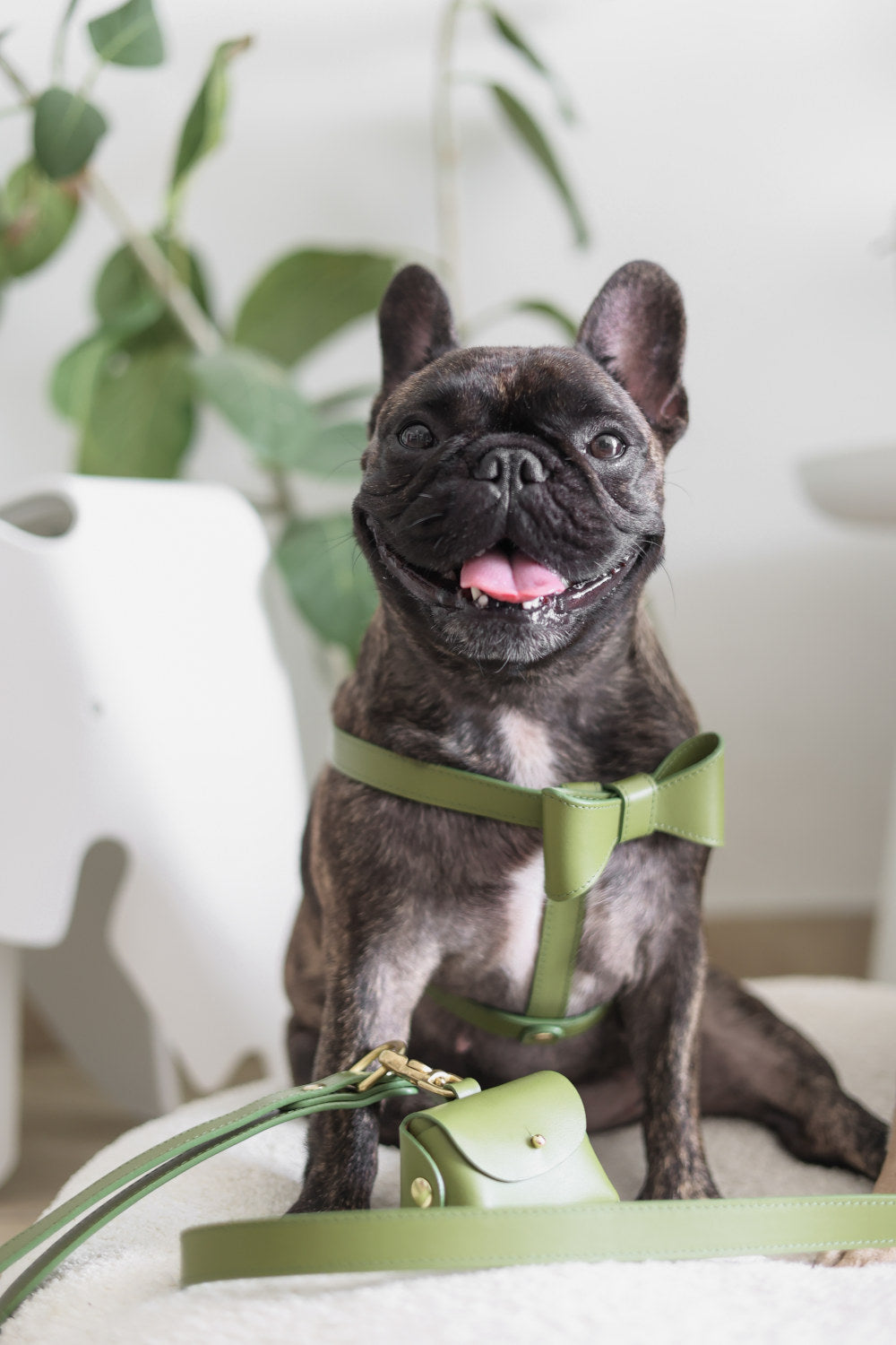 Moss Green leather Harness with removable bow