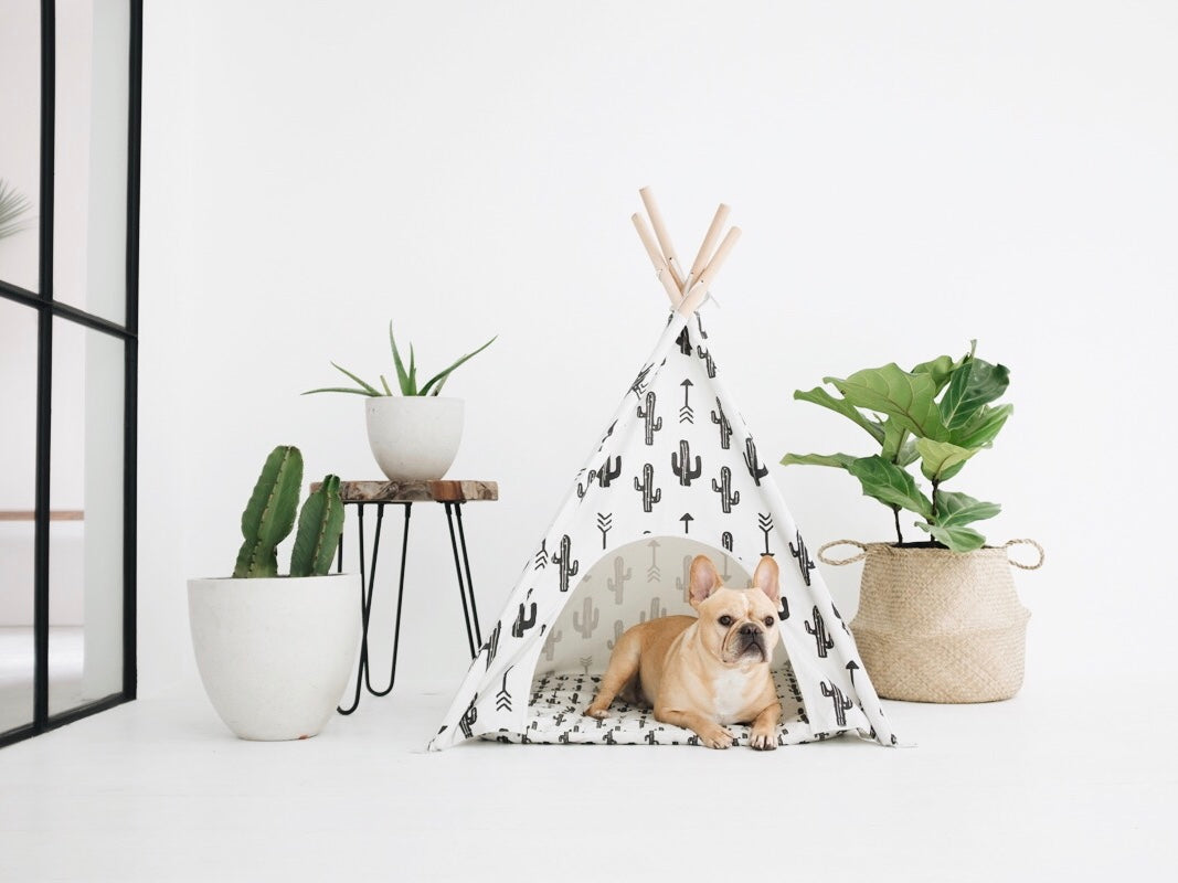 Cactus Dog Teepee – PIPOLLI