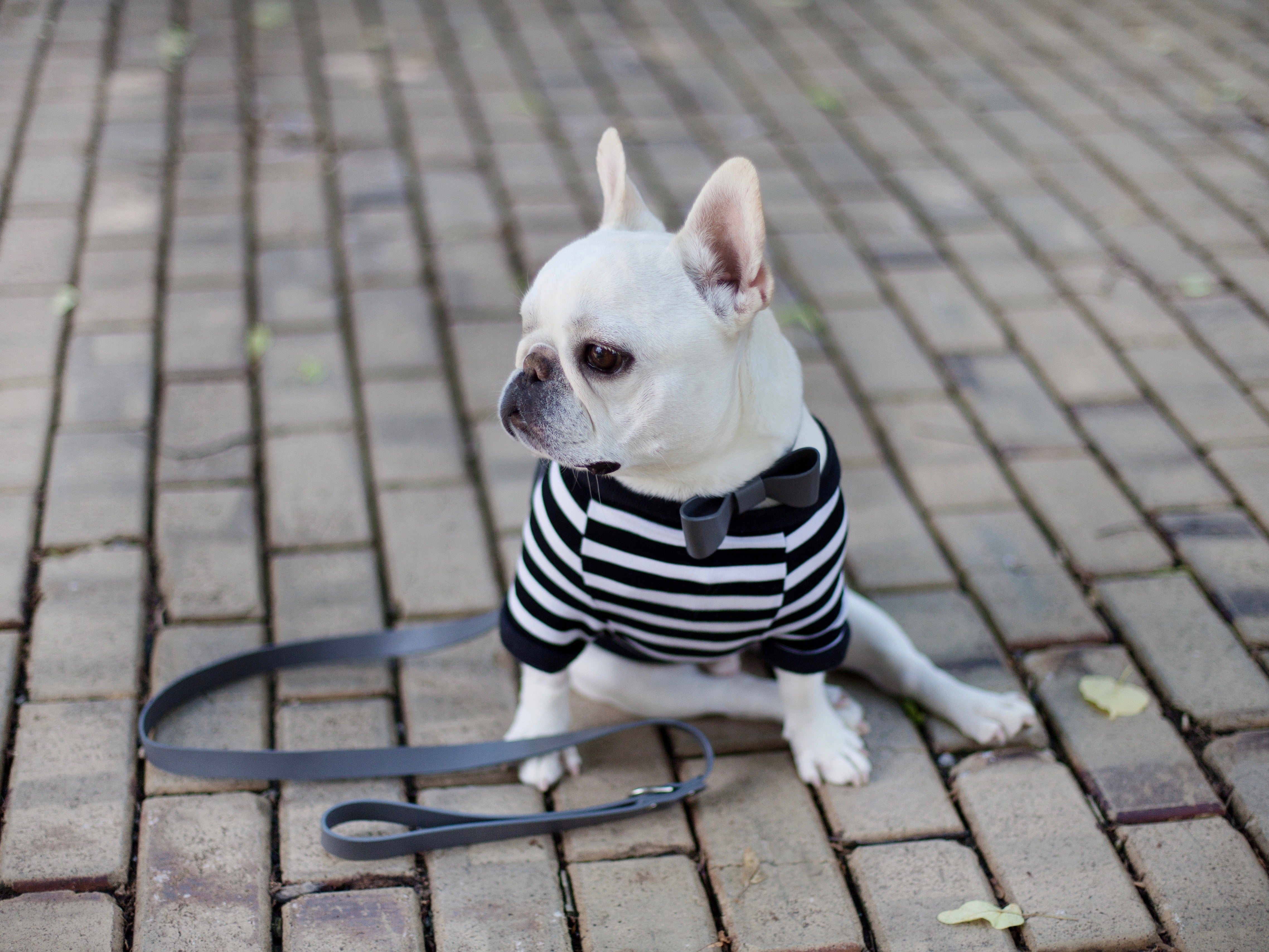 Black and White Striped Tee