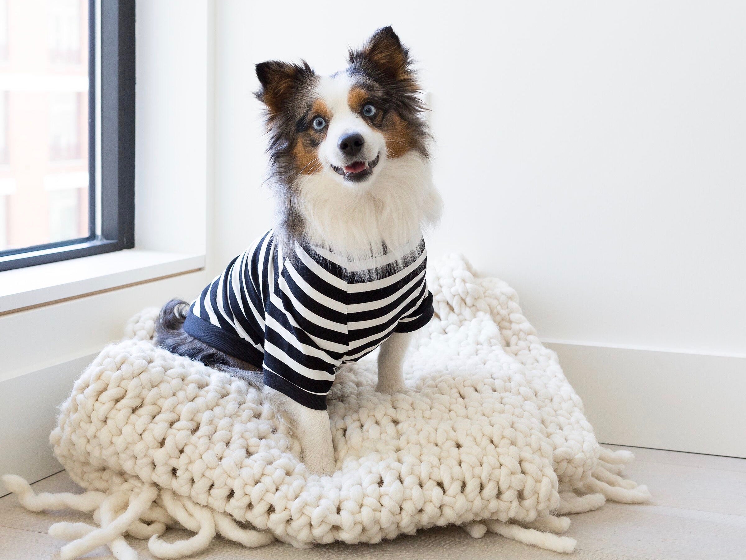 Black and White Striped Tee