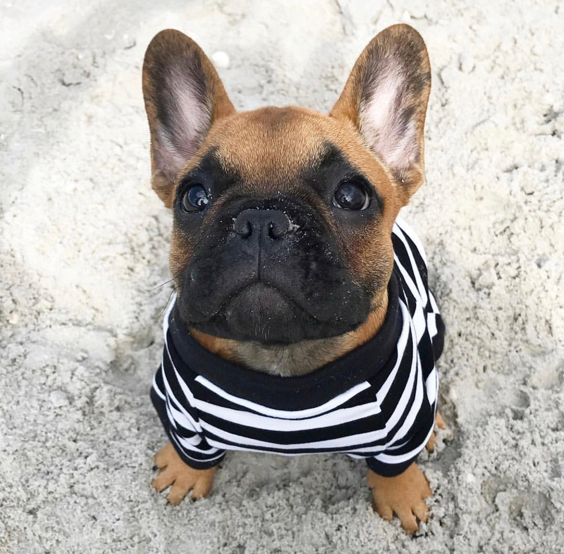 Black and White Striped Tee