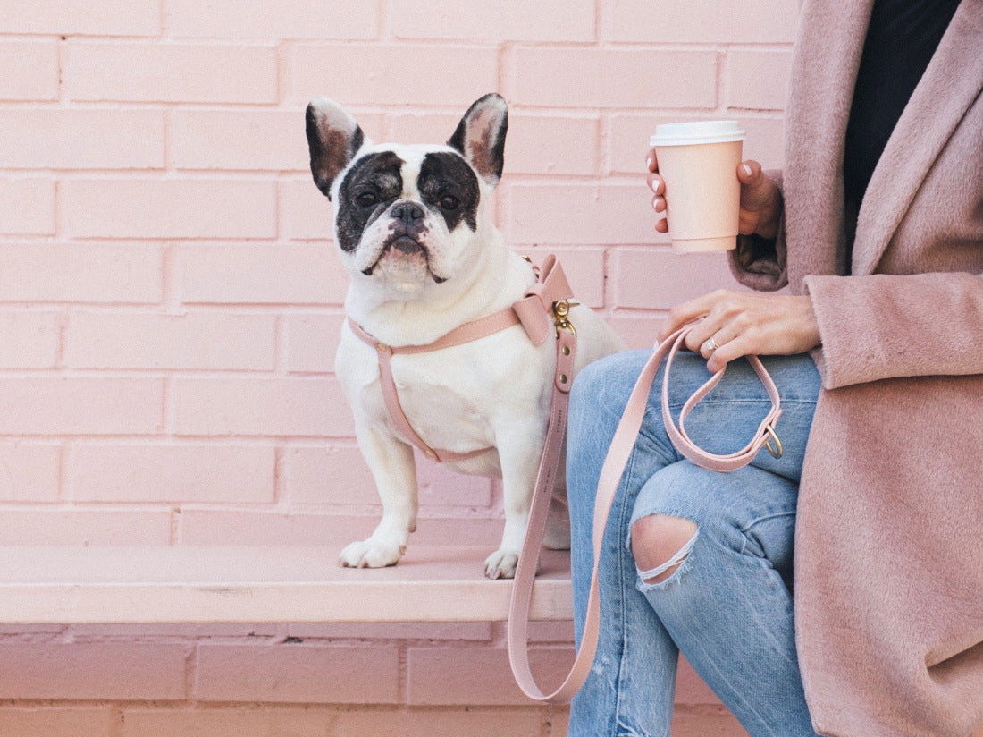 Blush Pink leather Harness with removable bow
