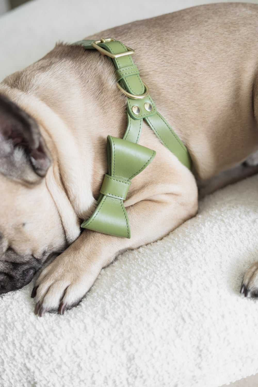 Moss Green leather Harness with removable bow