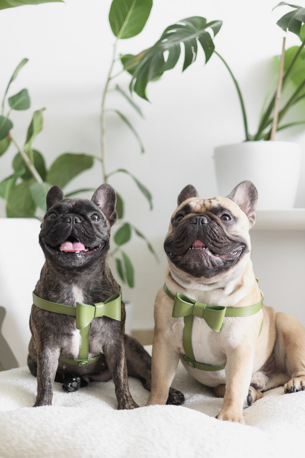 Moss Green leather Harness with removable bow
