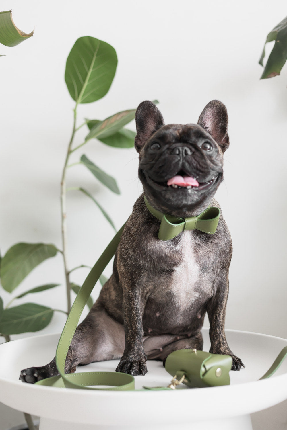 Moss Green leather leash