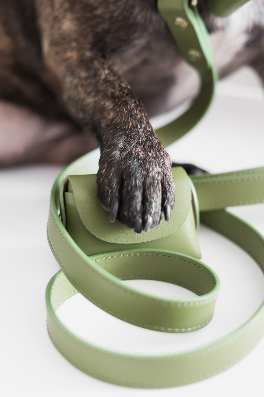 Moss Green poop bag pouch