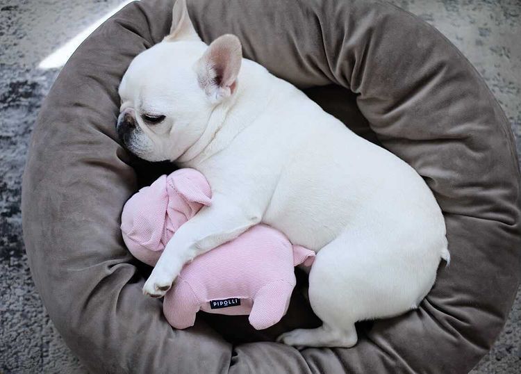 Bestie Plush Toy