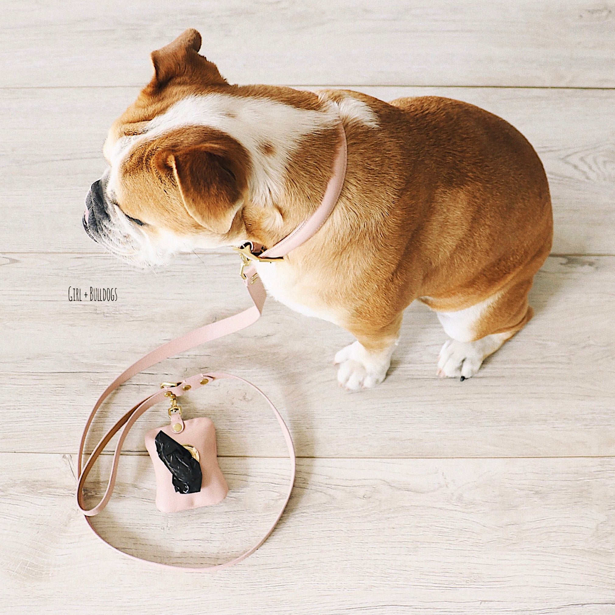 ACE Blush pink poop bag pouch
