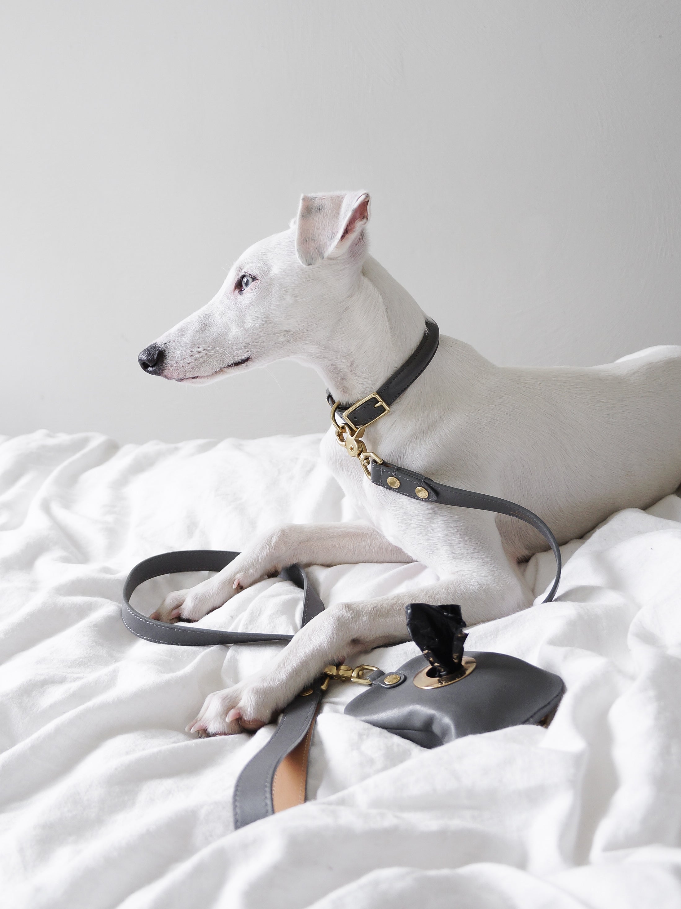 BIBI Collar - Stone Gray