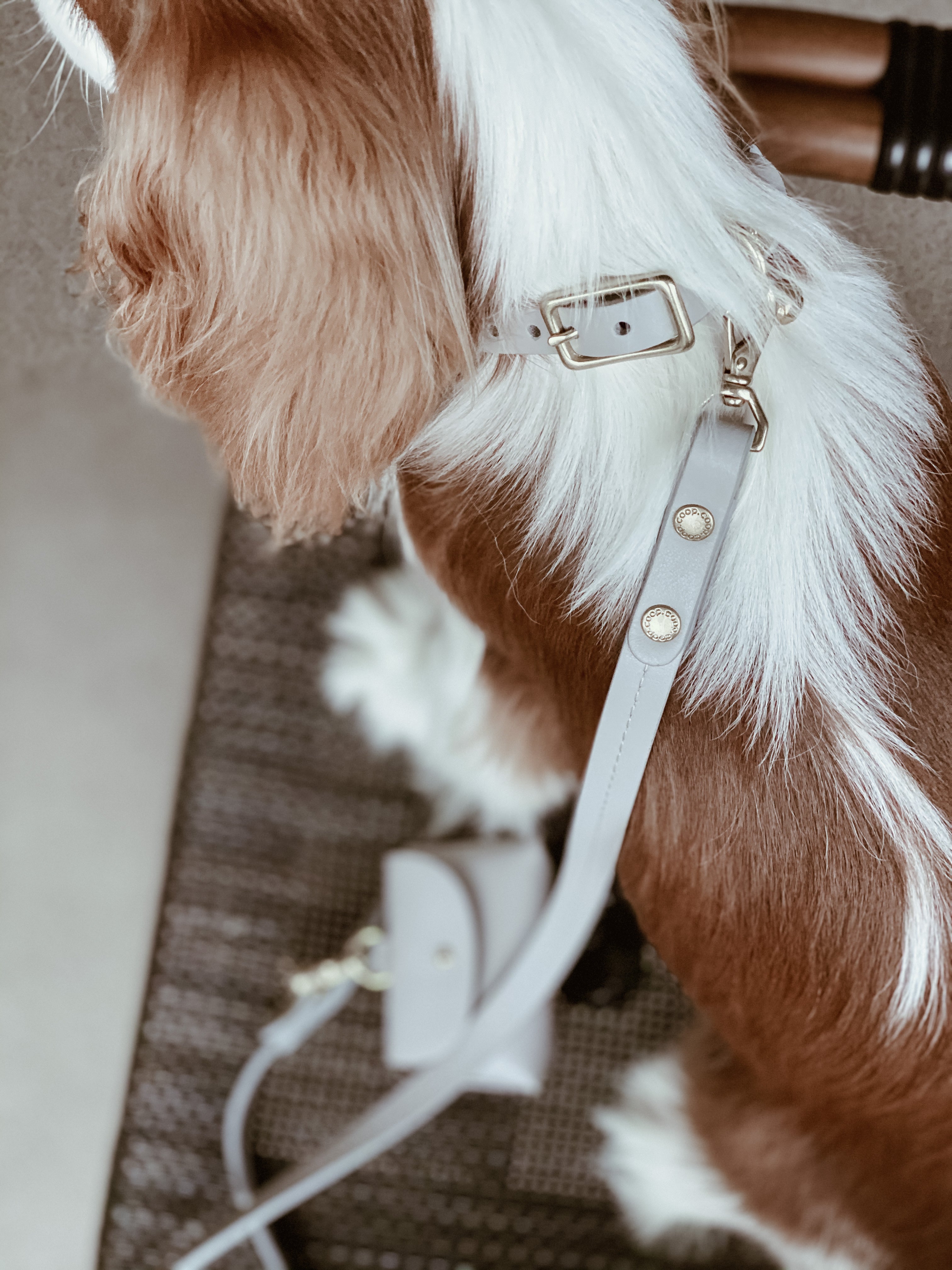 Pearl gray Joyce leash