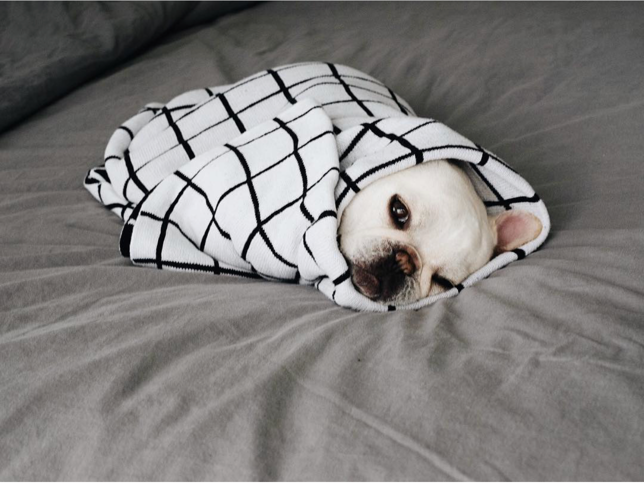 Grid blanket best sale