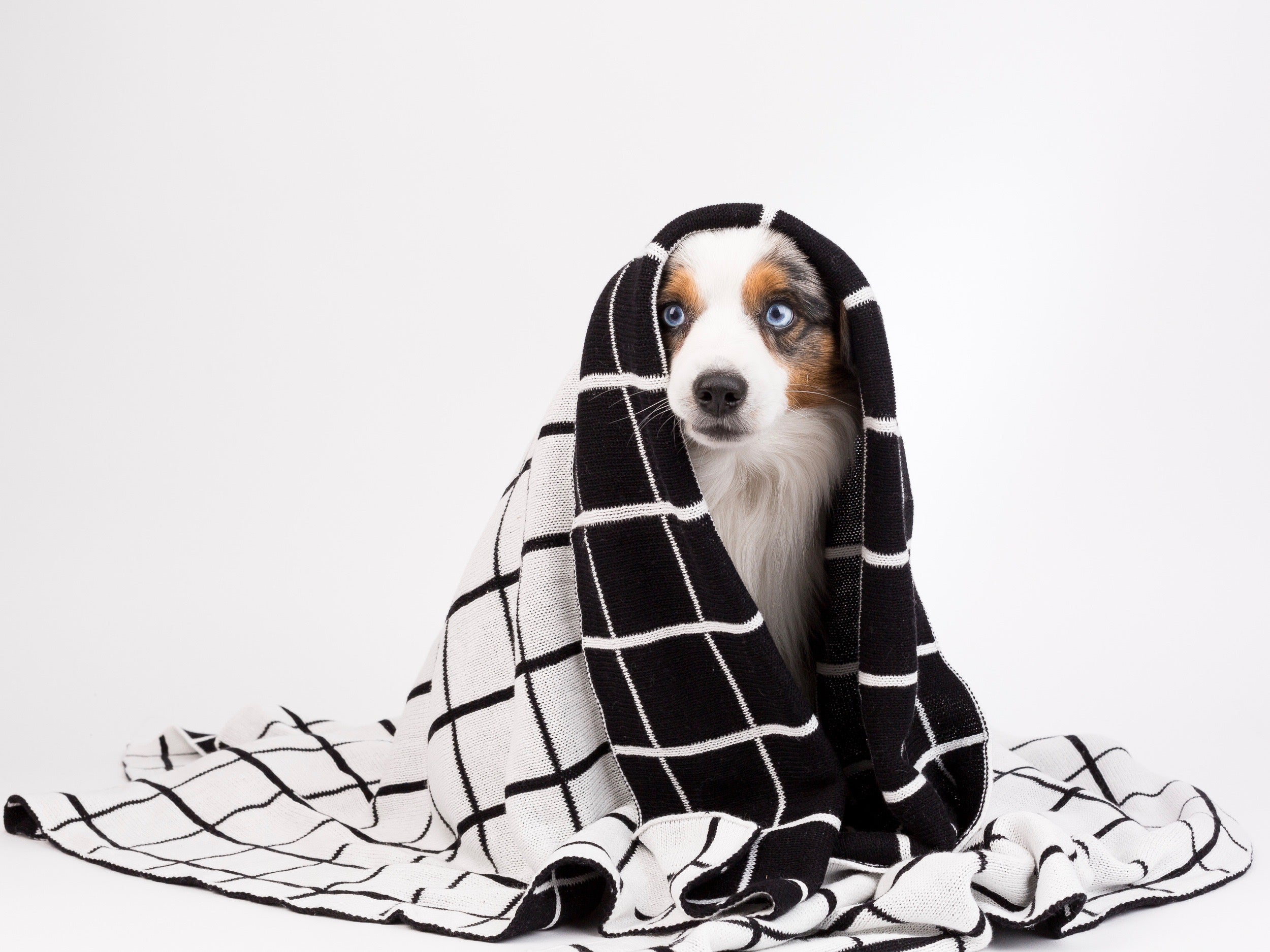 Grid Blanket