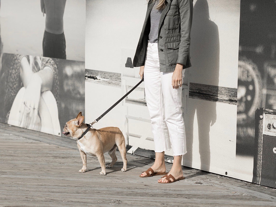 Stone Gray leather collar with removable bow