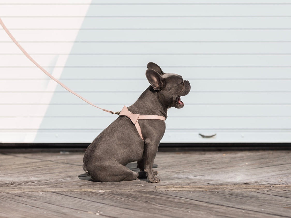 Blush Pink leather Harness with removable bow