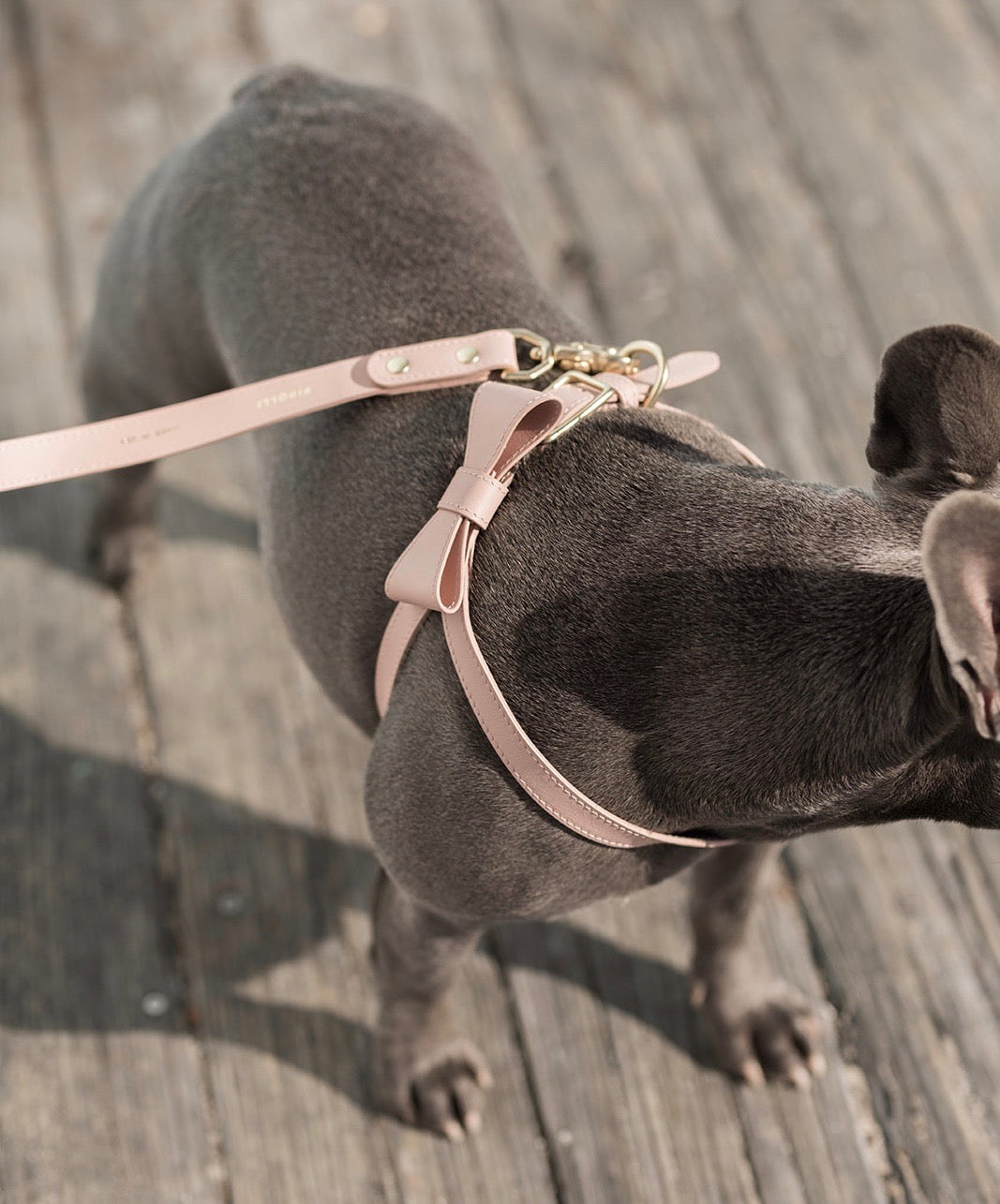 Blush Pink leather Harness with removable bow