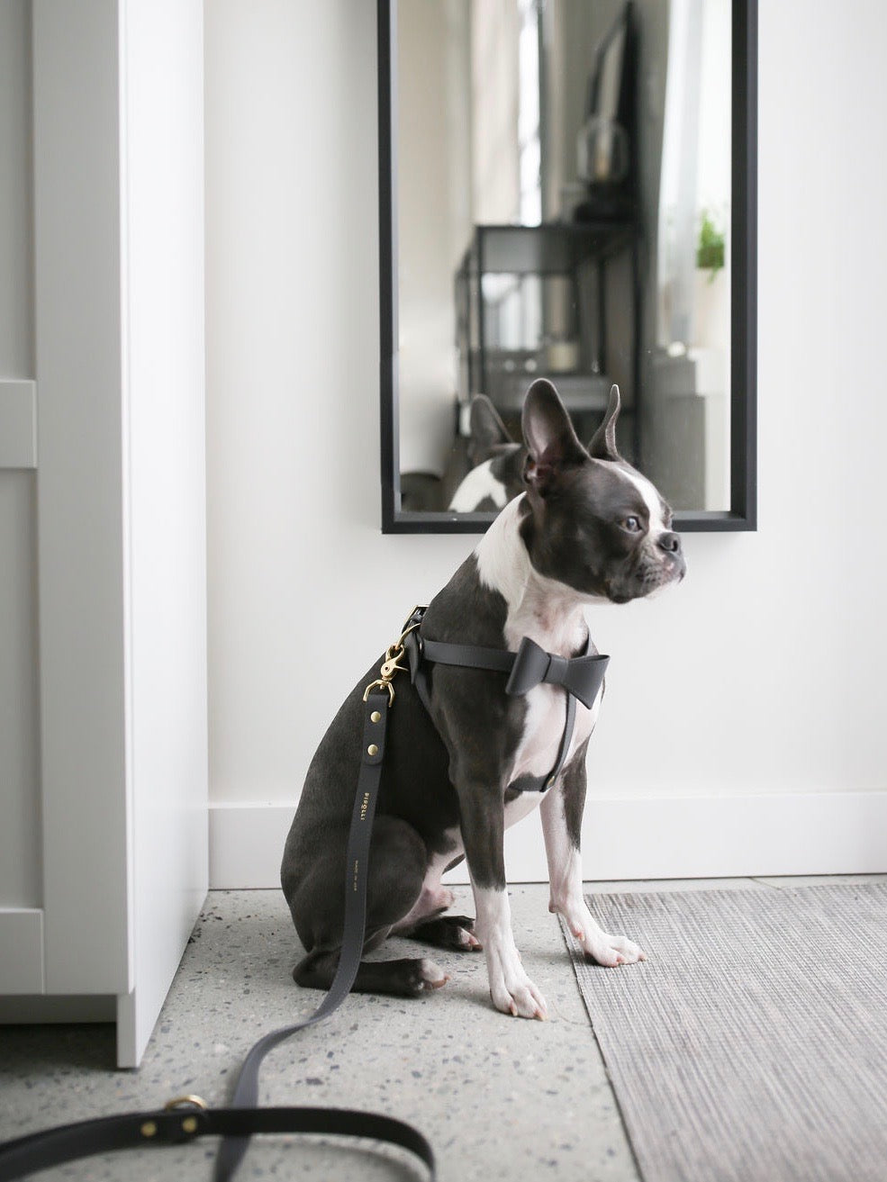 Stone gray leather harness with removable bow