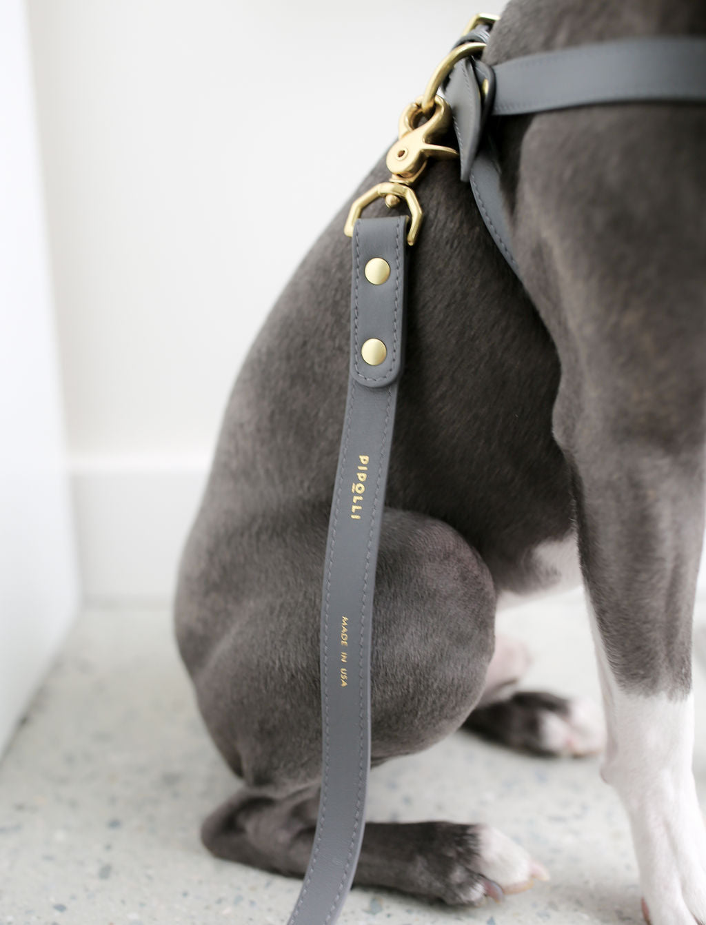 Stone gray leather leash