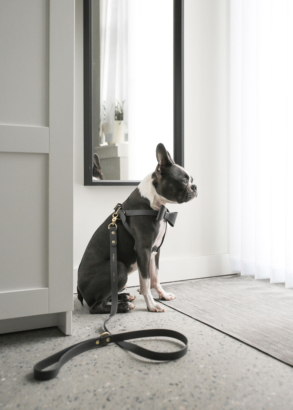 Stone gray leather leash