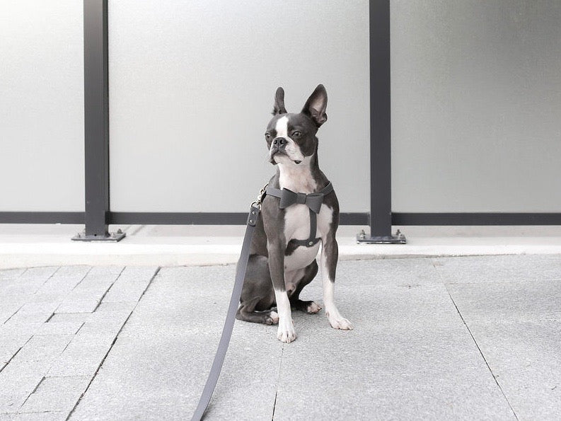 Stone gray leather harness with removable bow