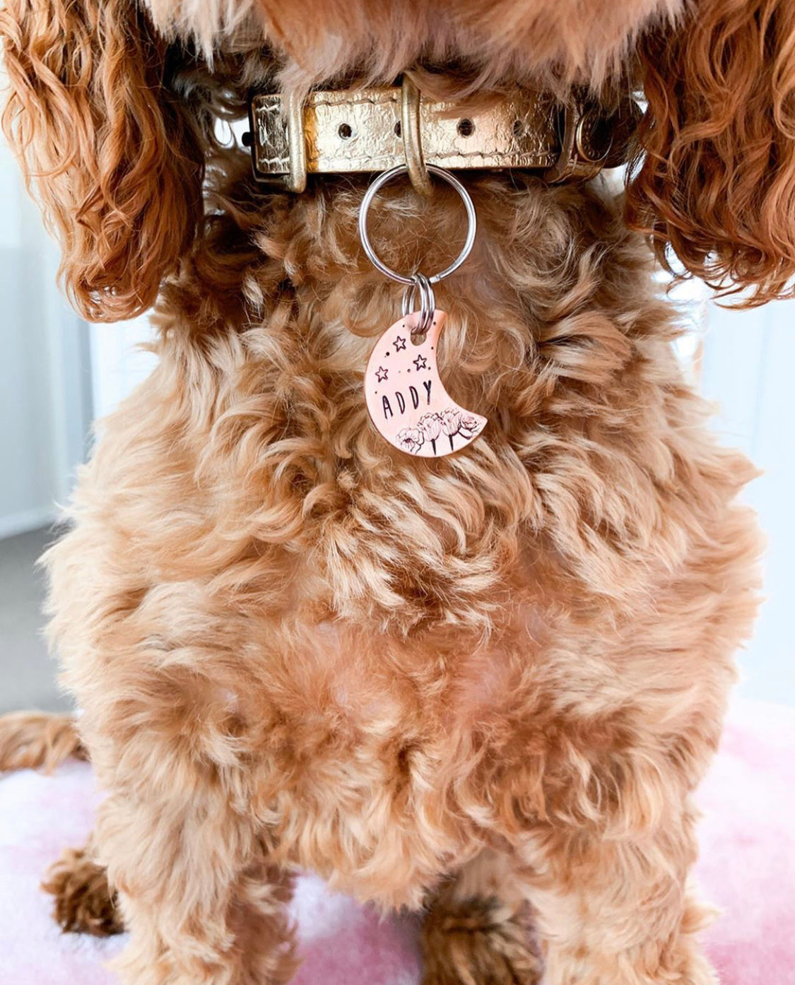 BIBI Collar - Oro