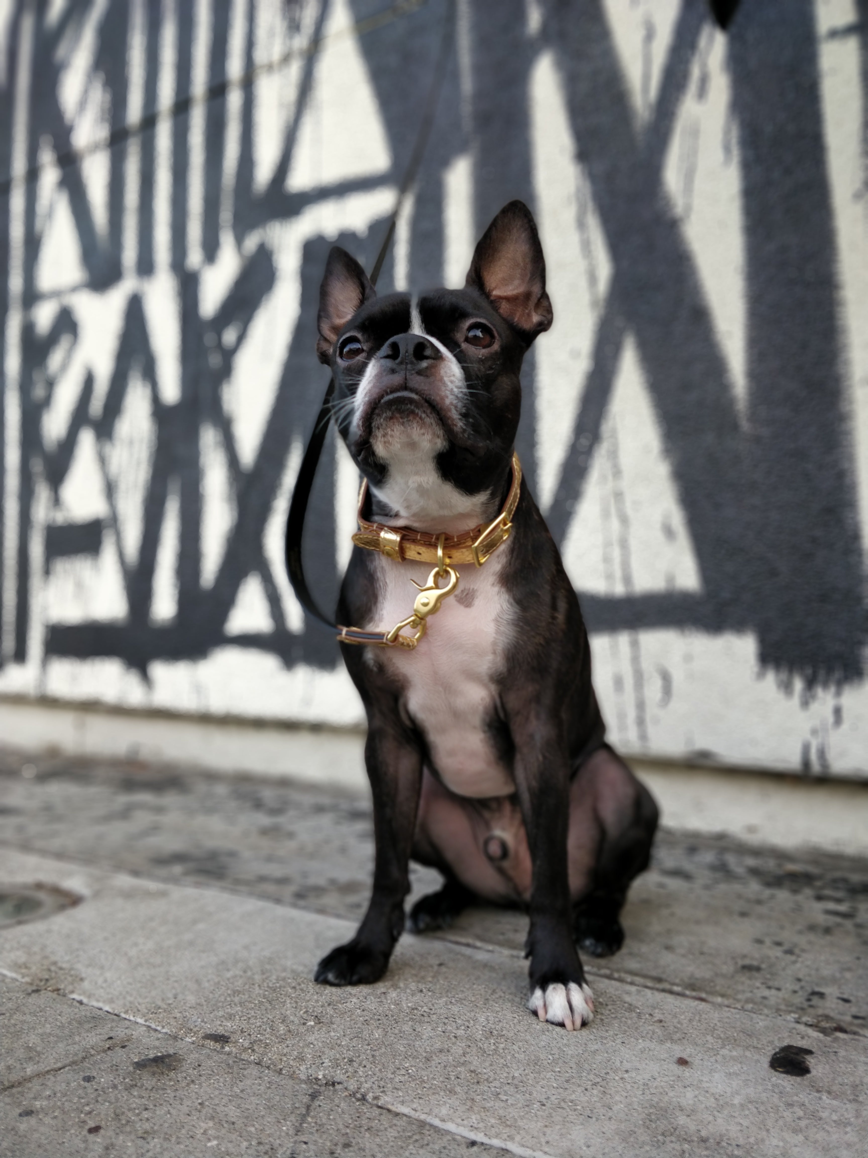 BIBI Collar - Oro
