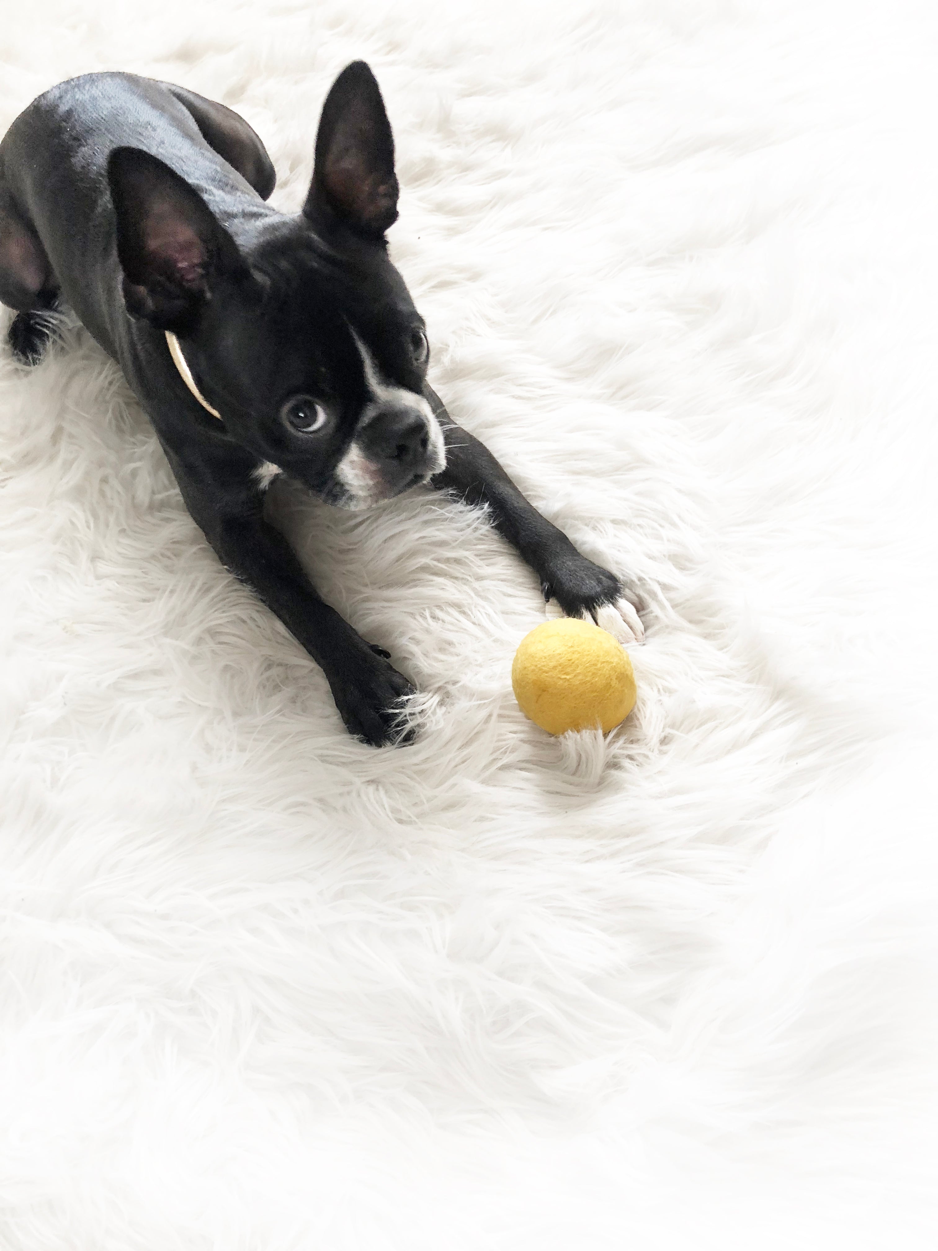 Mochi Felt Toy