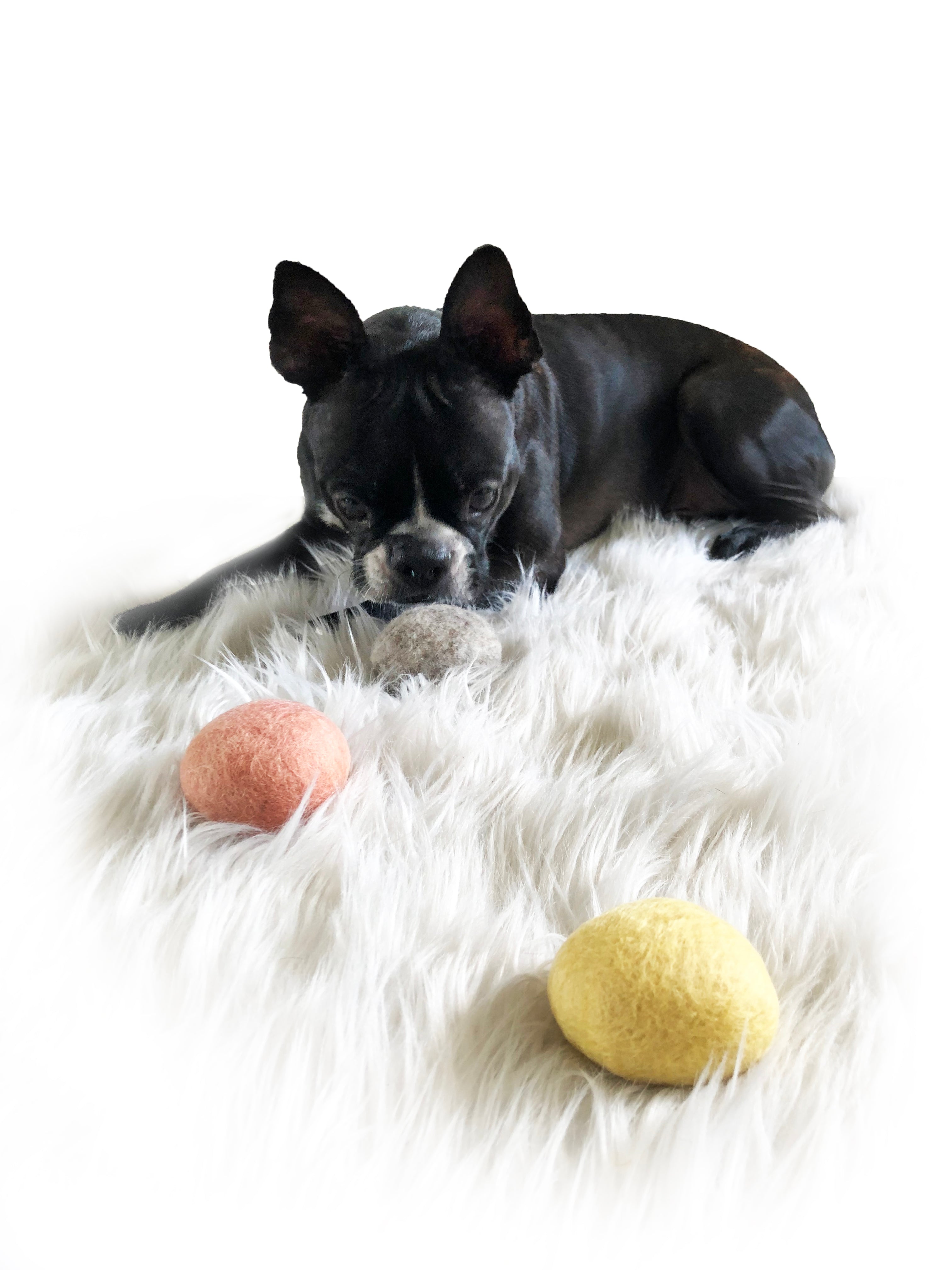 Mochi Felt Toy
