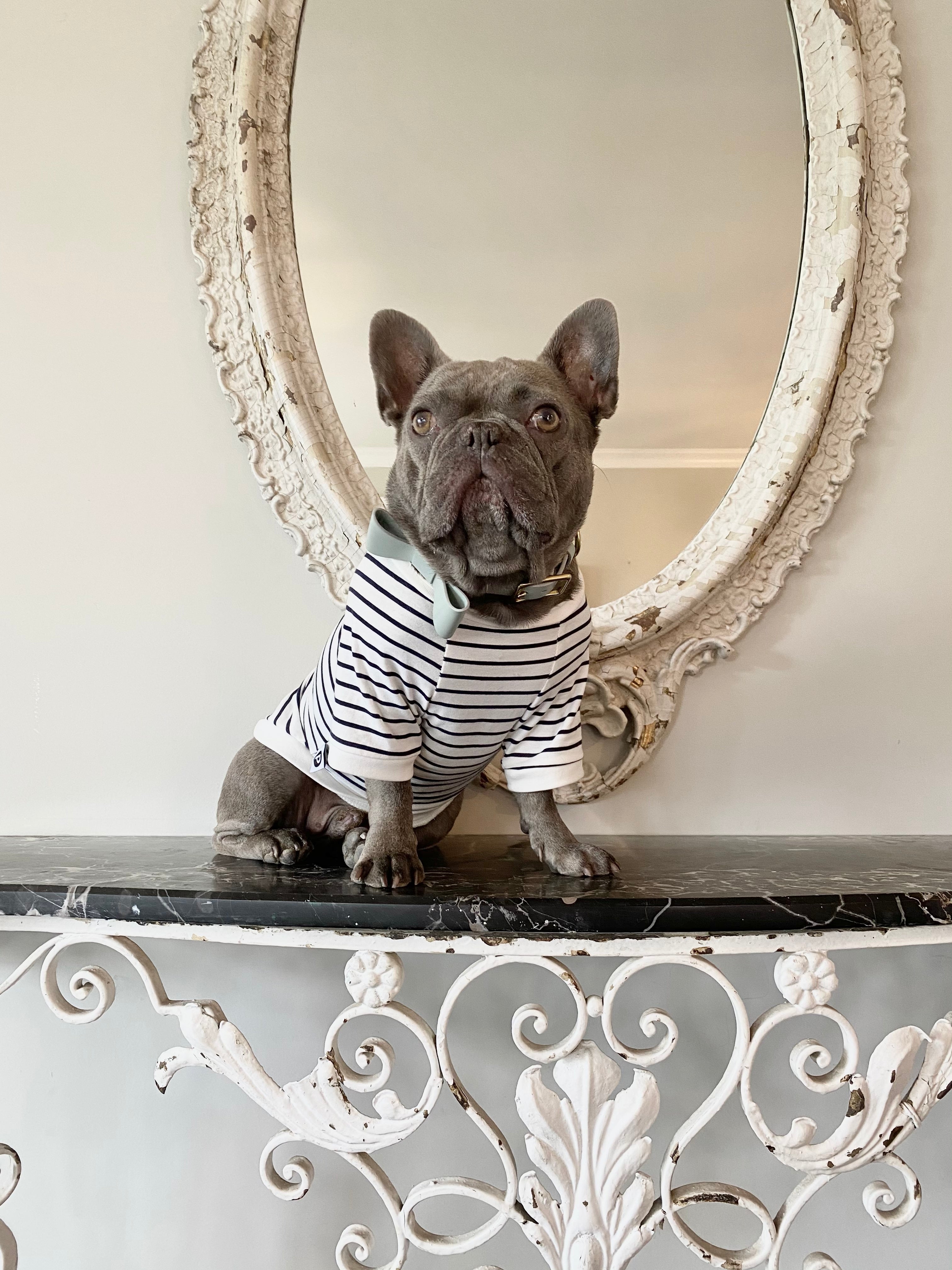 Model Wears Size L