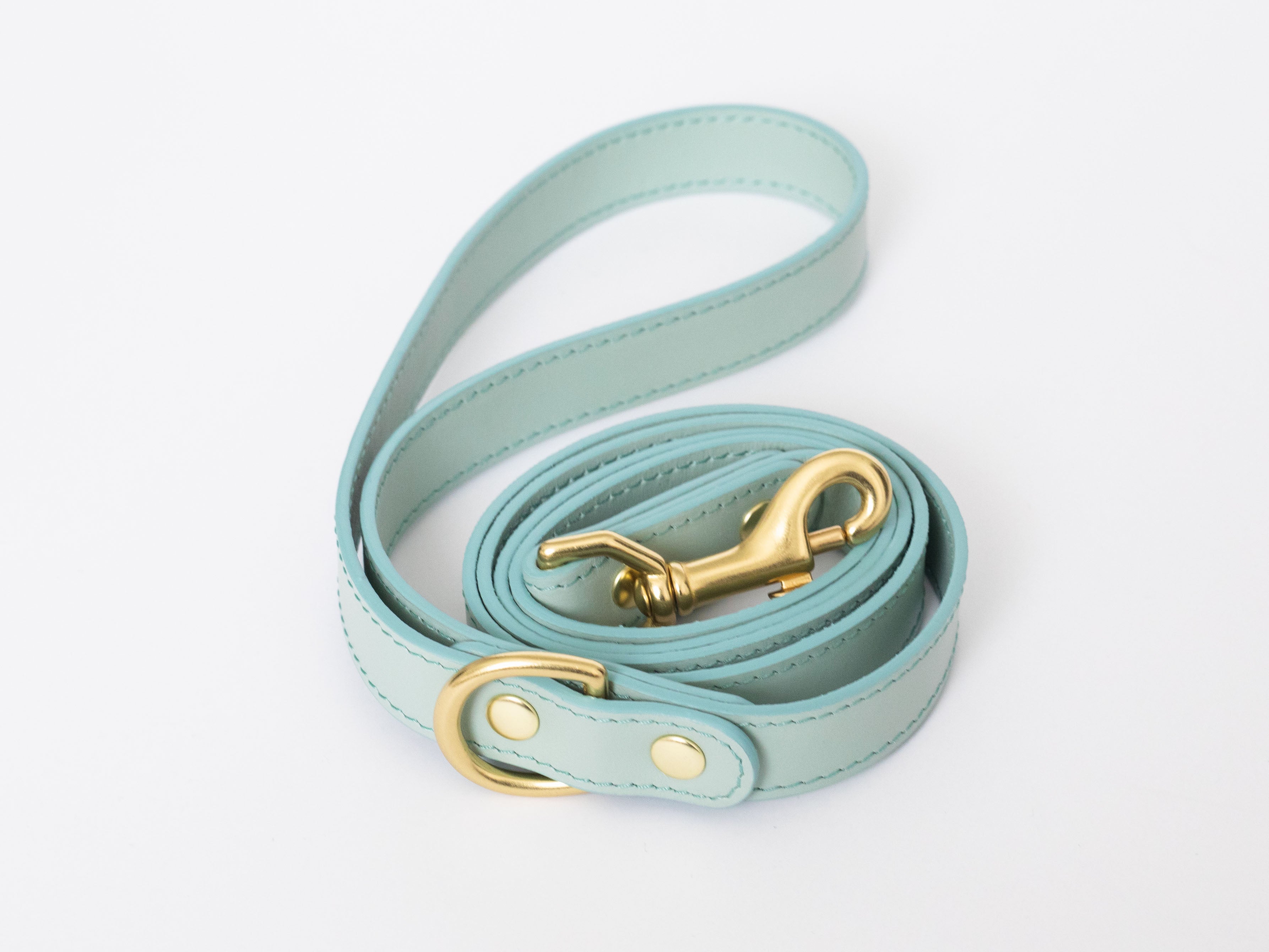 Mint leather leash