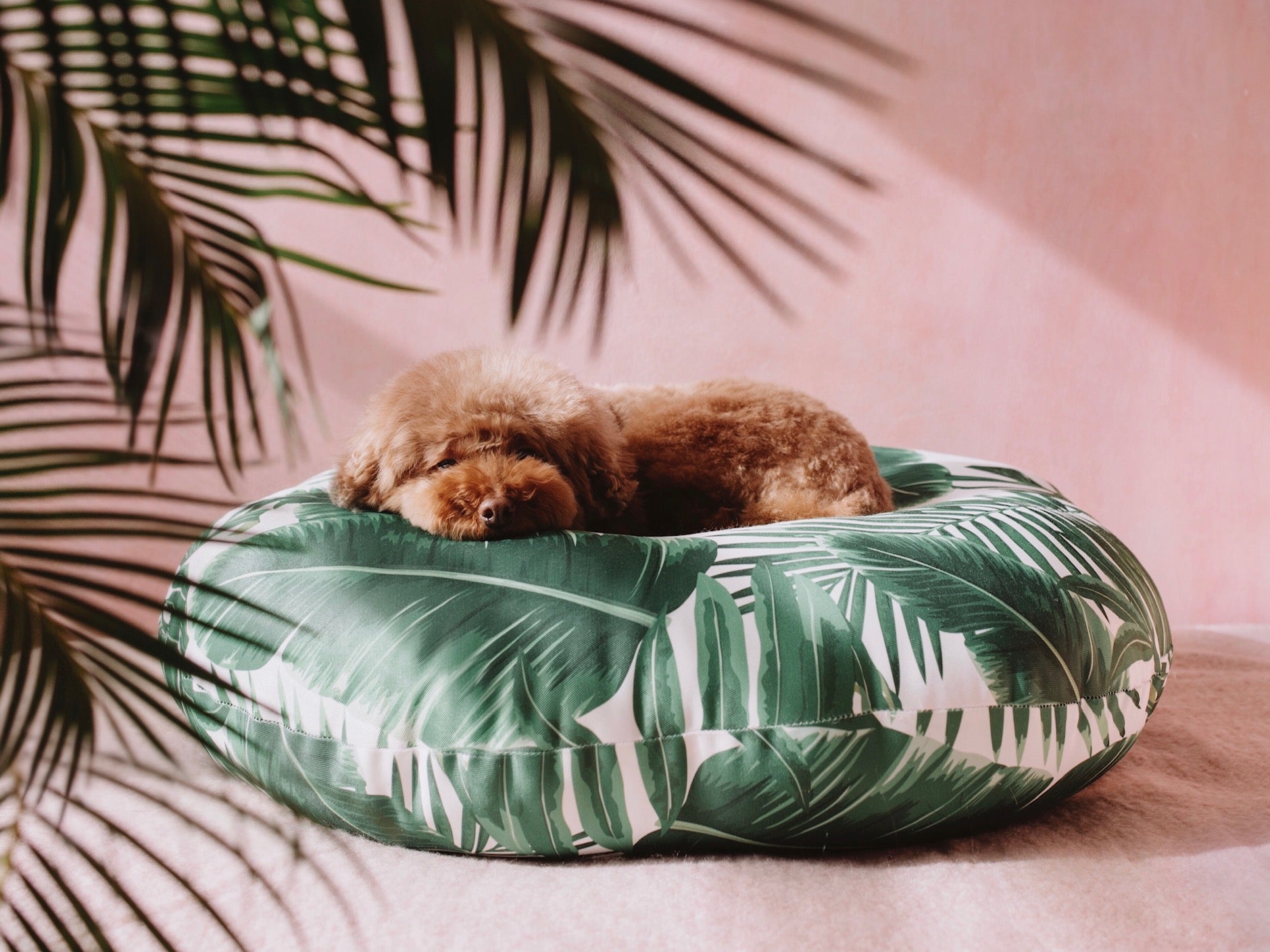 Tropical Lounge Bed