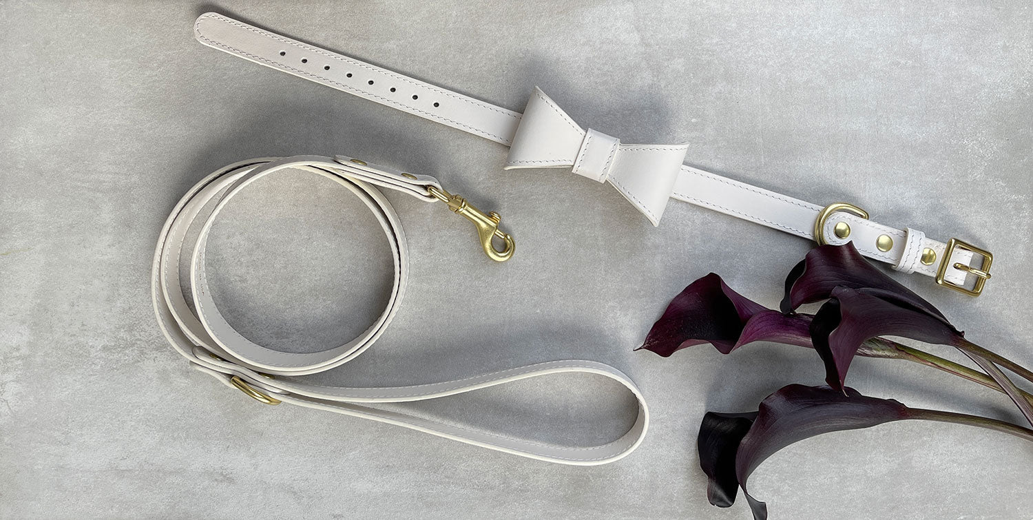 Off White leather collar with removable bow