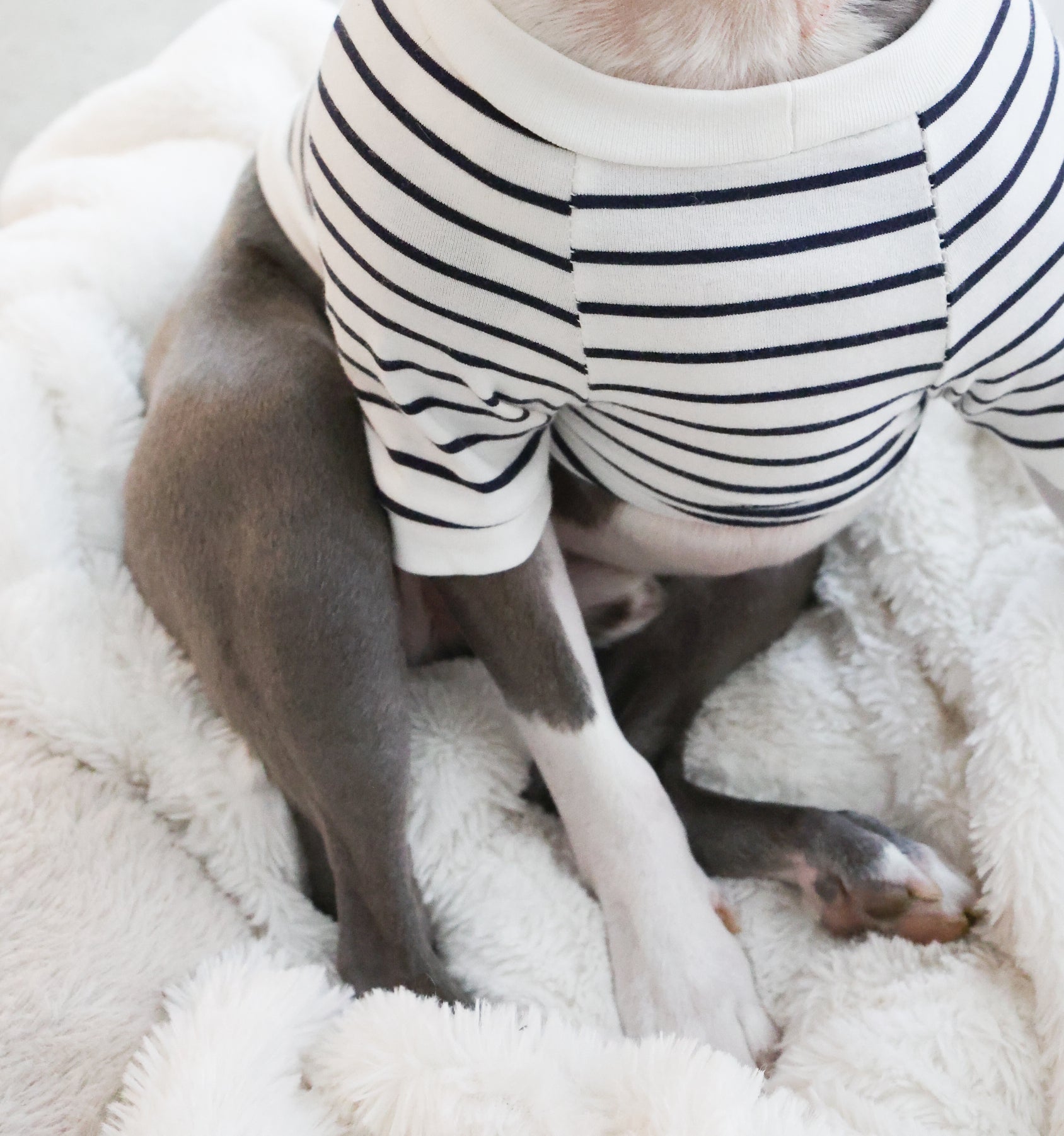 Navy and White fine Striped Tee