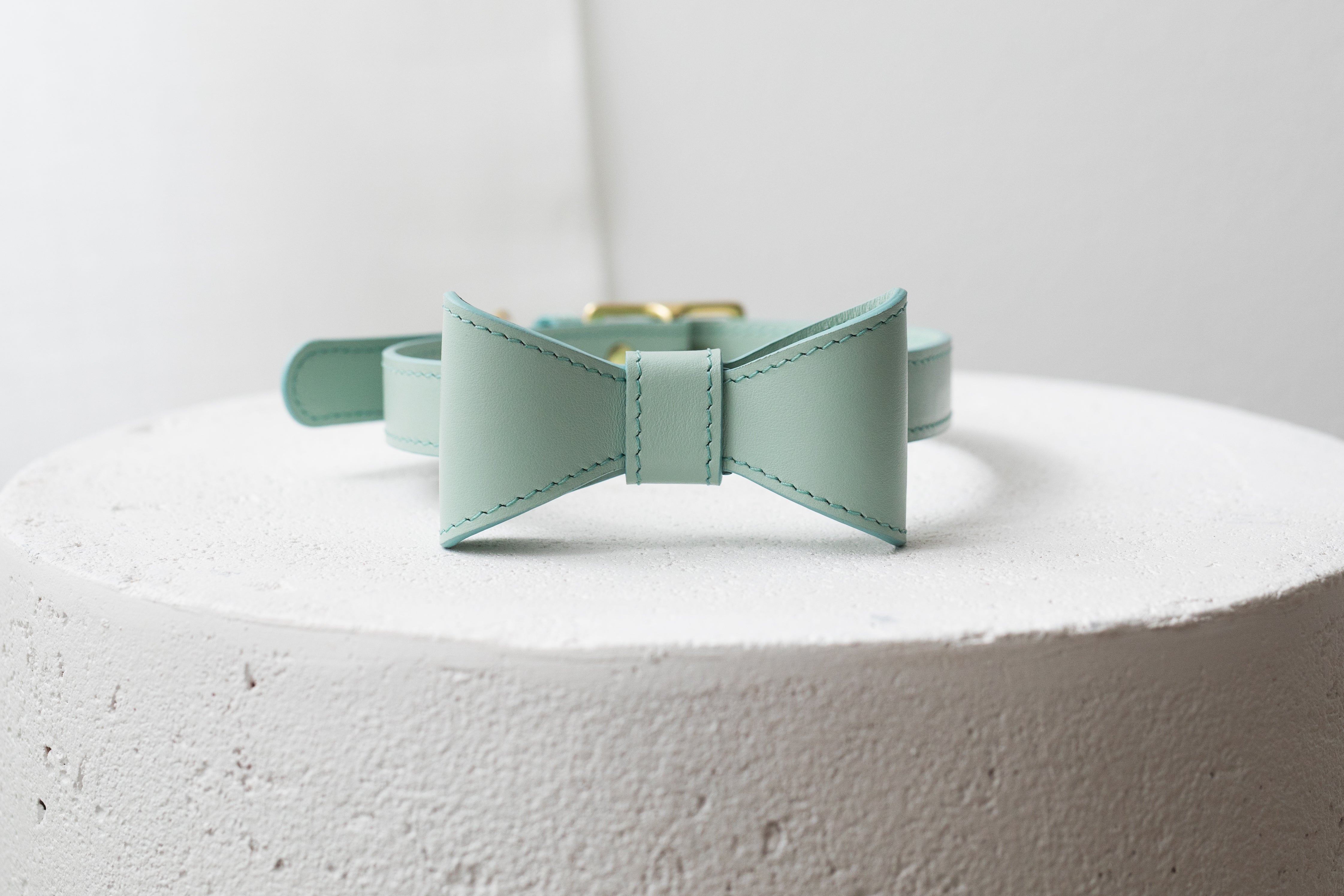 Mint leather collar with removable bow