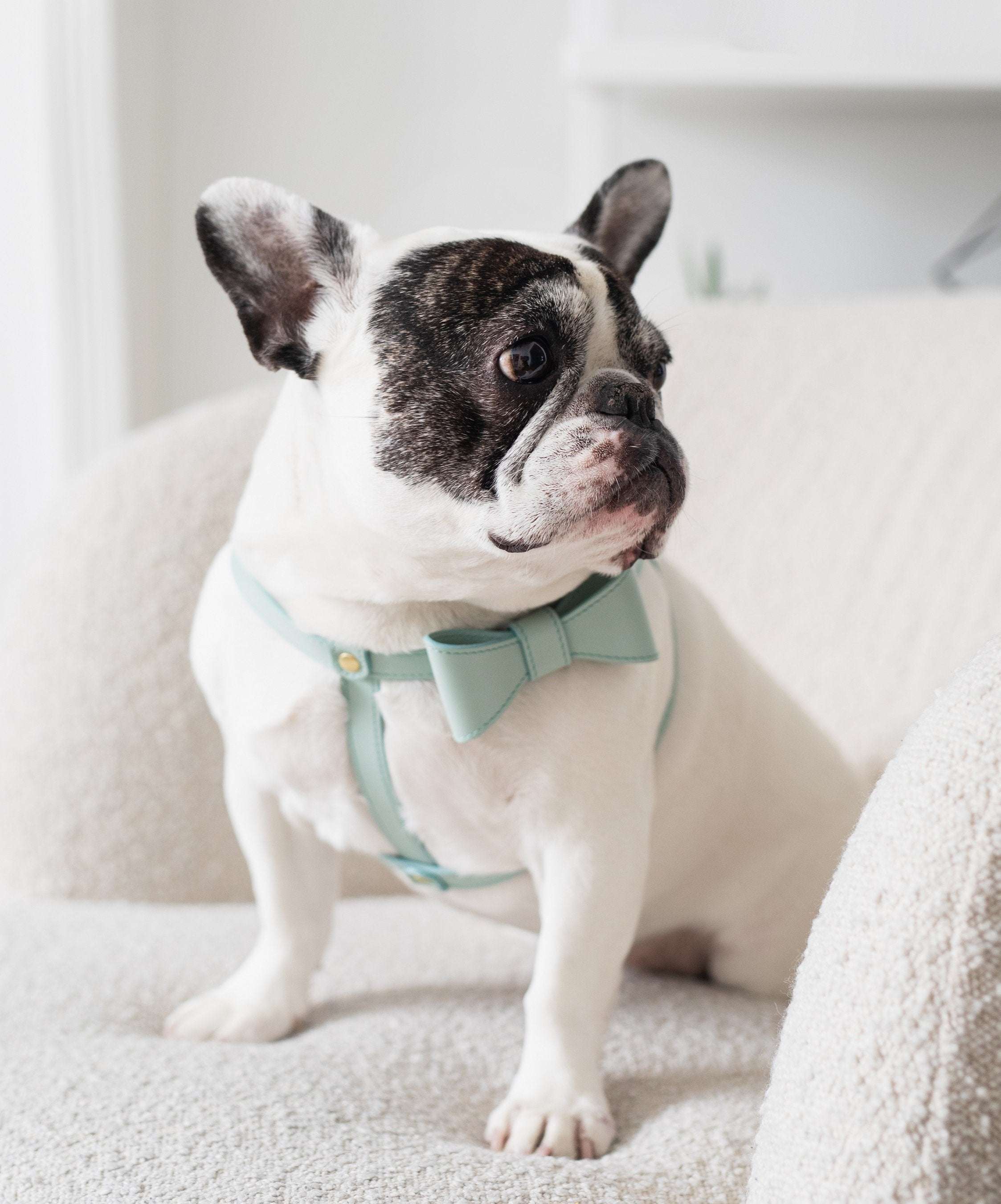 Mint leather bow