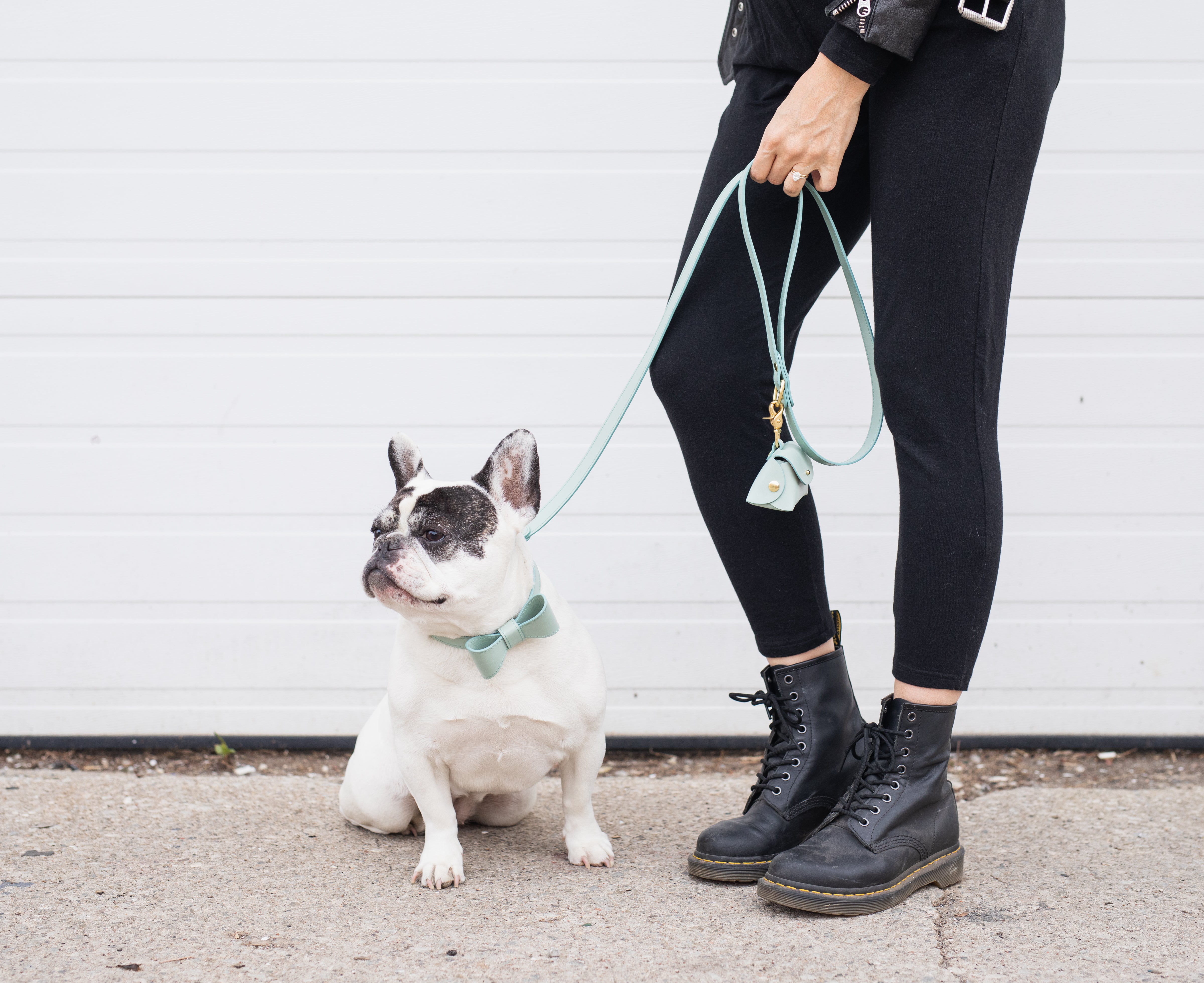 Mint leather collar with removable bow