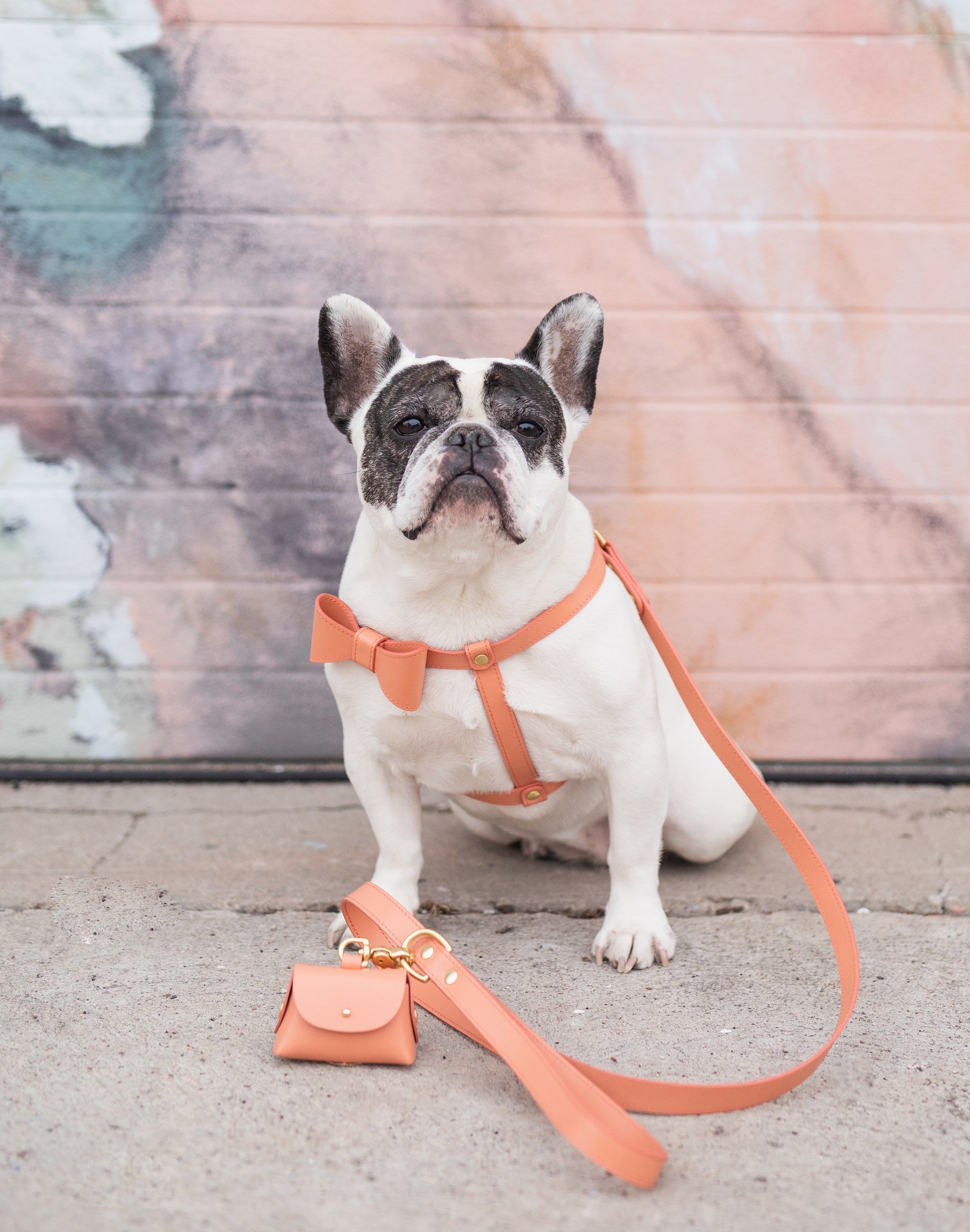 Peach leather harness with removable bow