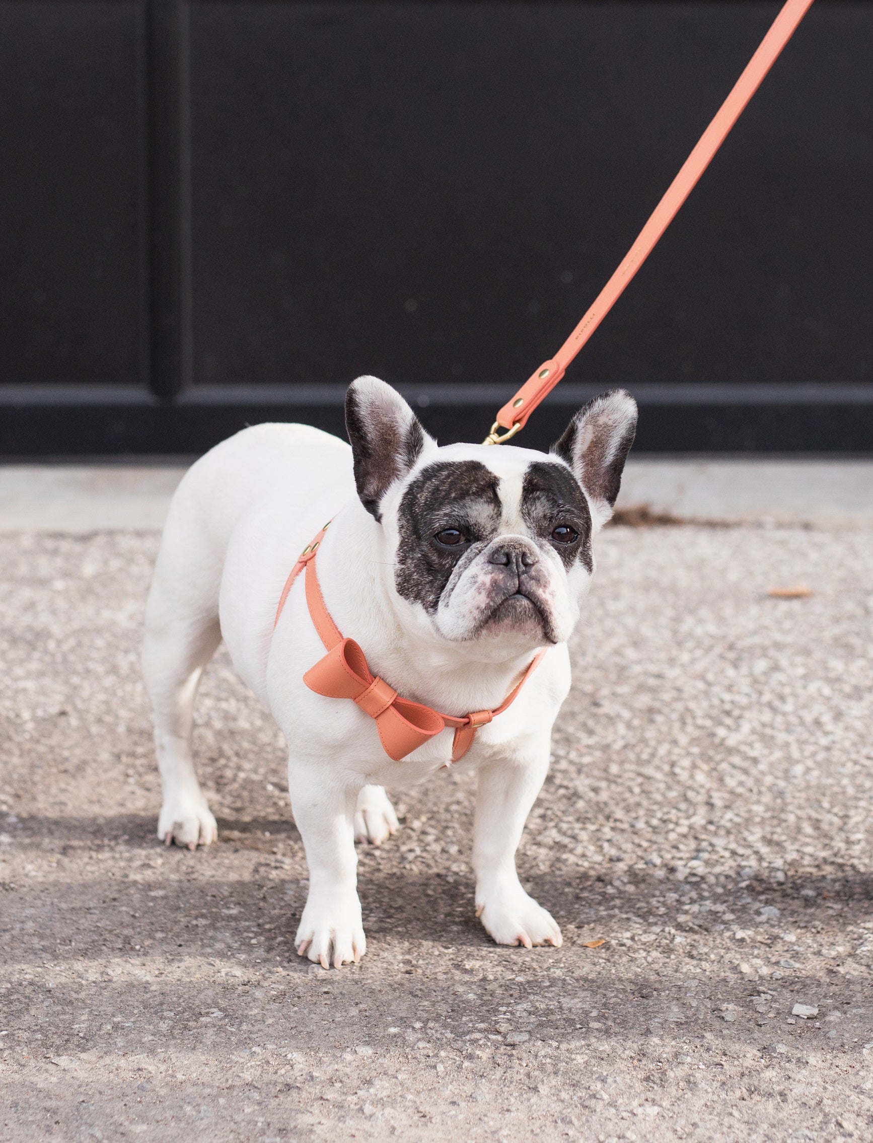 Peach leather leash
