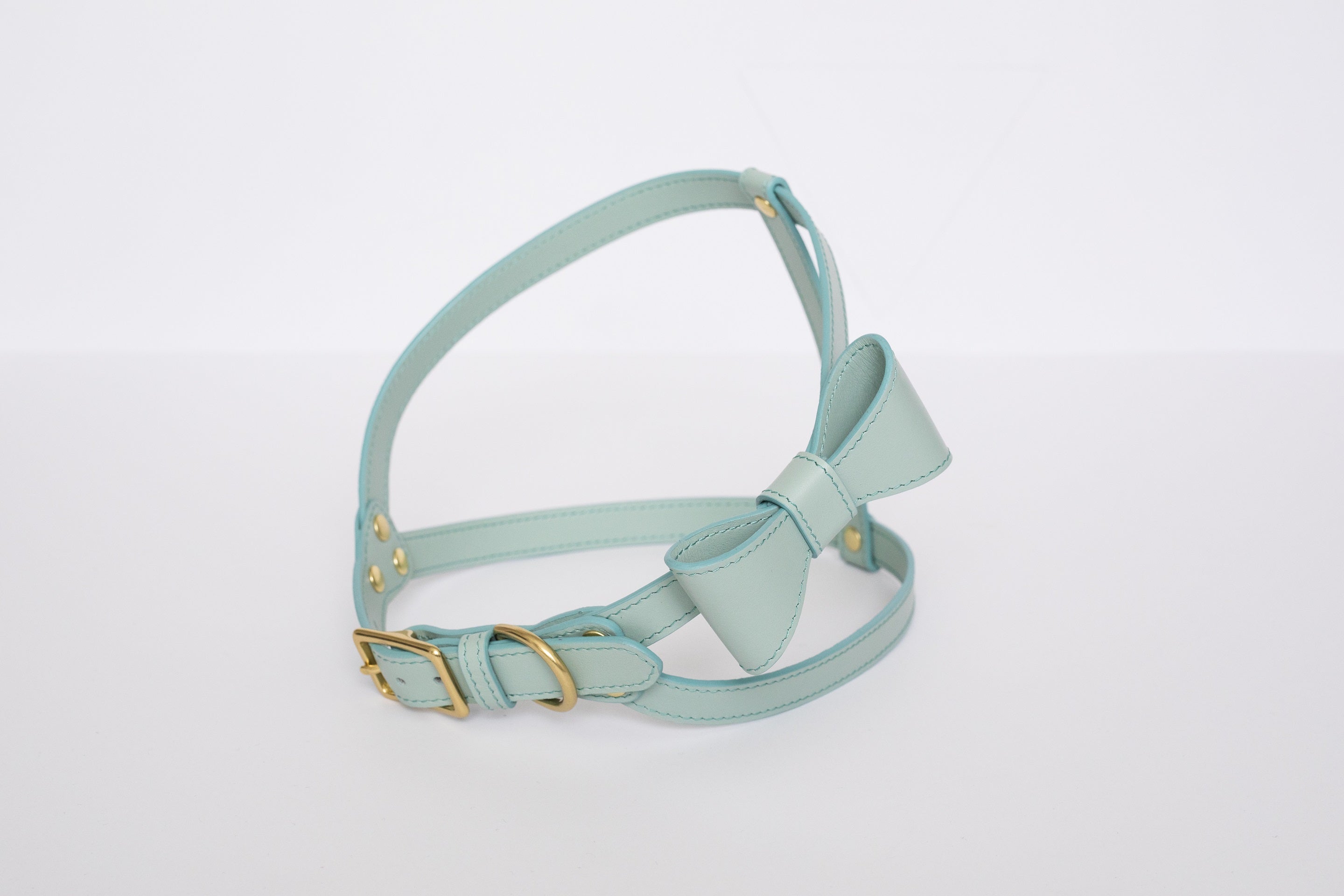 Mint leather Harness with removable bow