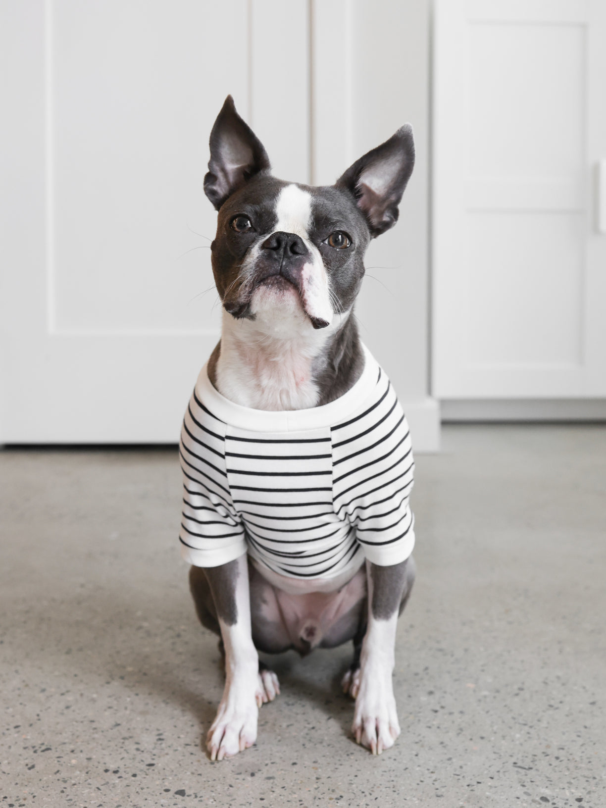 Navy and White fine Striped Tee