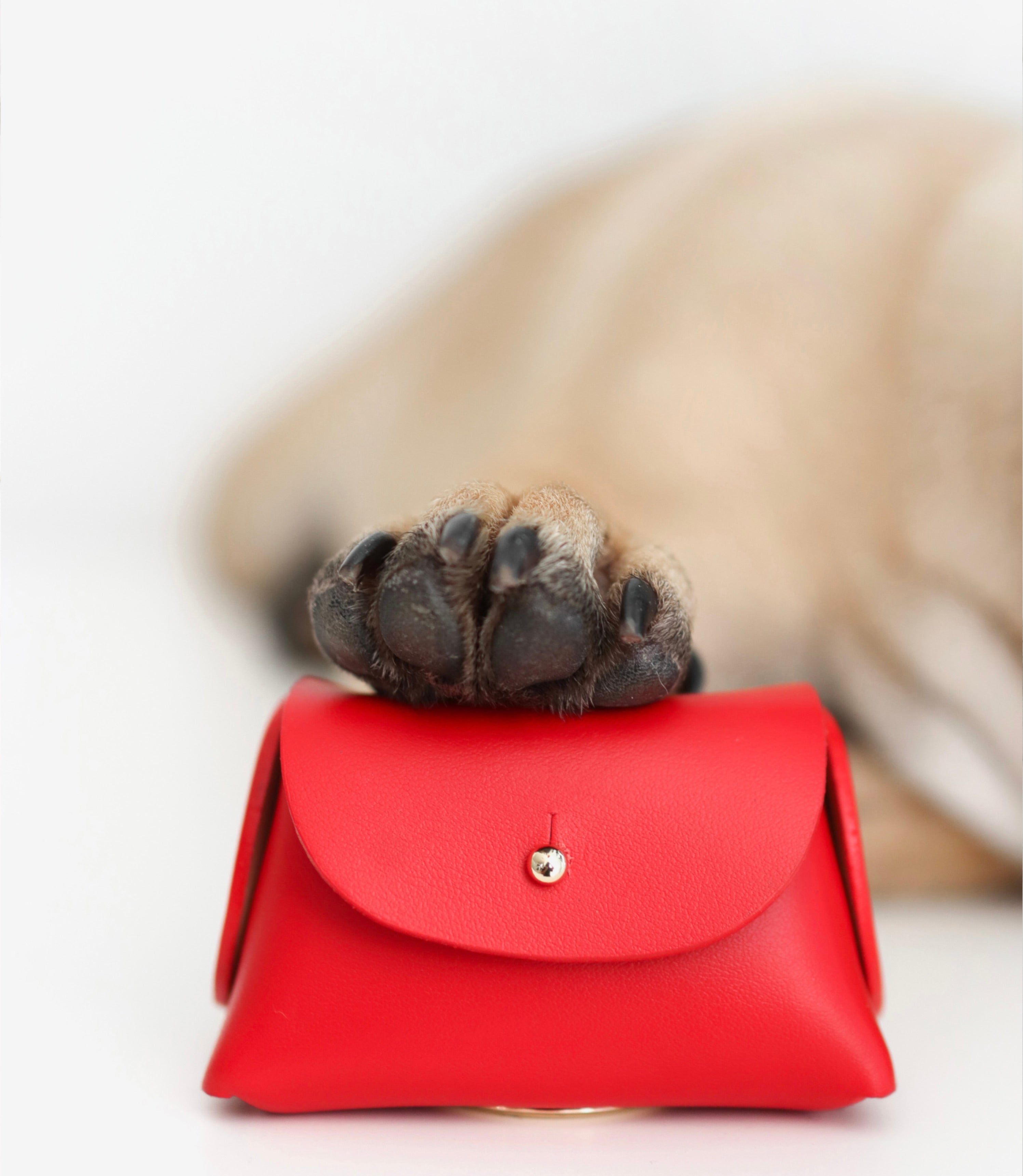 Poppy Red poop bag pouch