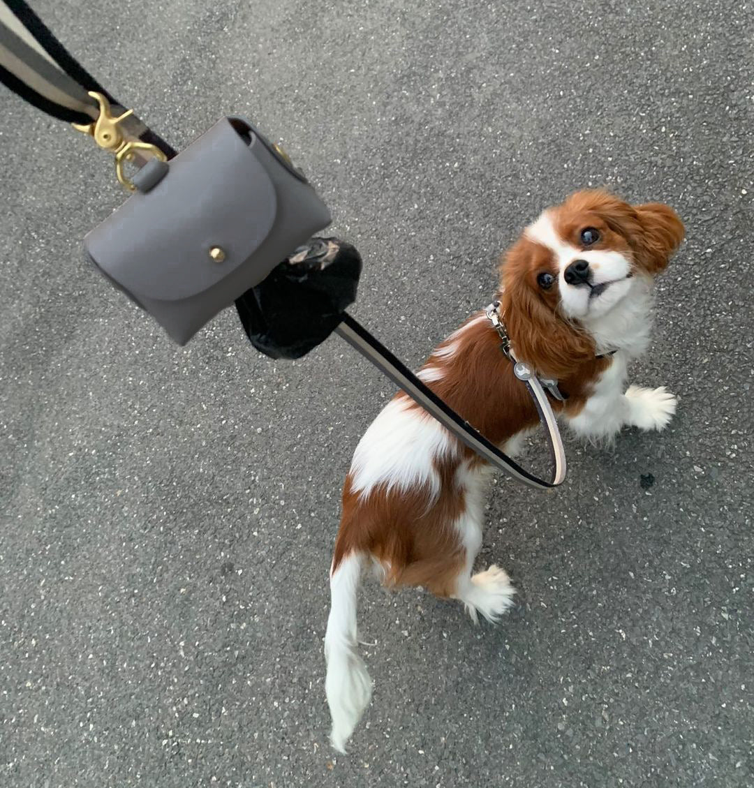 Stone grey leather poop bag pouch
