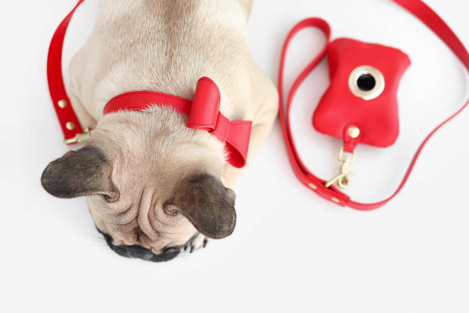 Poppy Red leather collar with removable bow