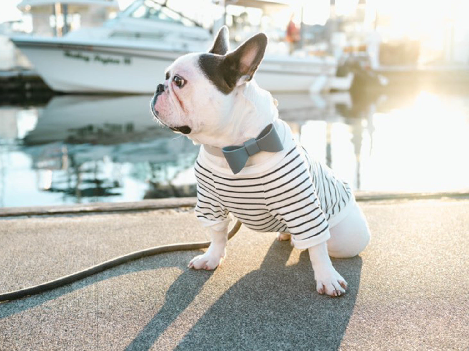 Navy and White fine Striped Tee