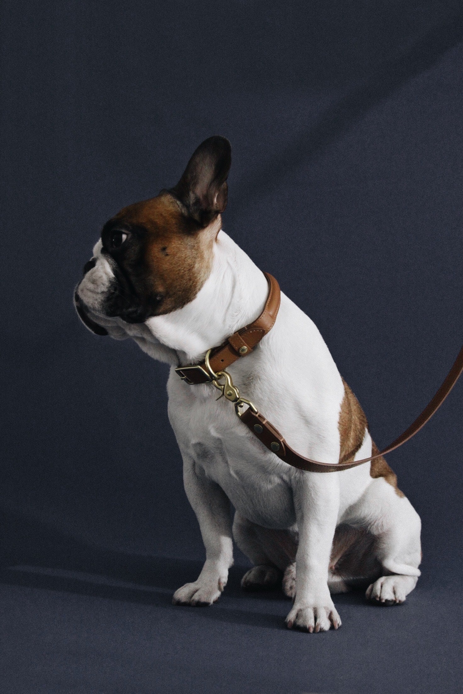 BIBI Collar - Cognac brown