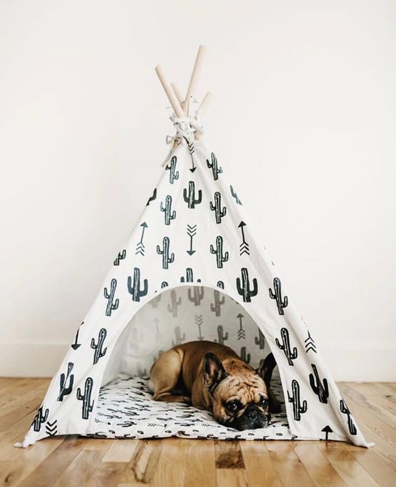 Cactus Dog Teepee