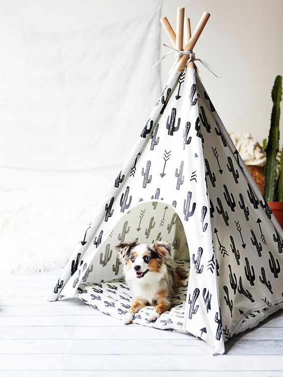 Cactus Dog Teepee