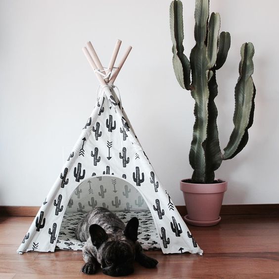 Cactus Dog Teepee