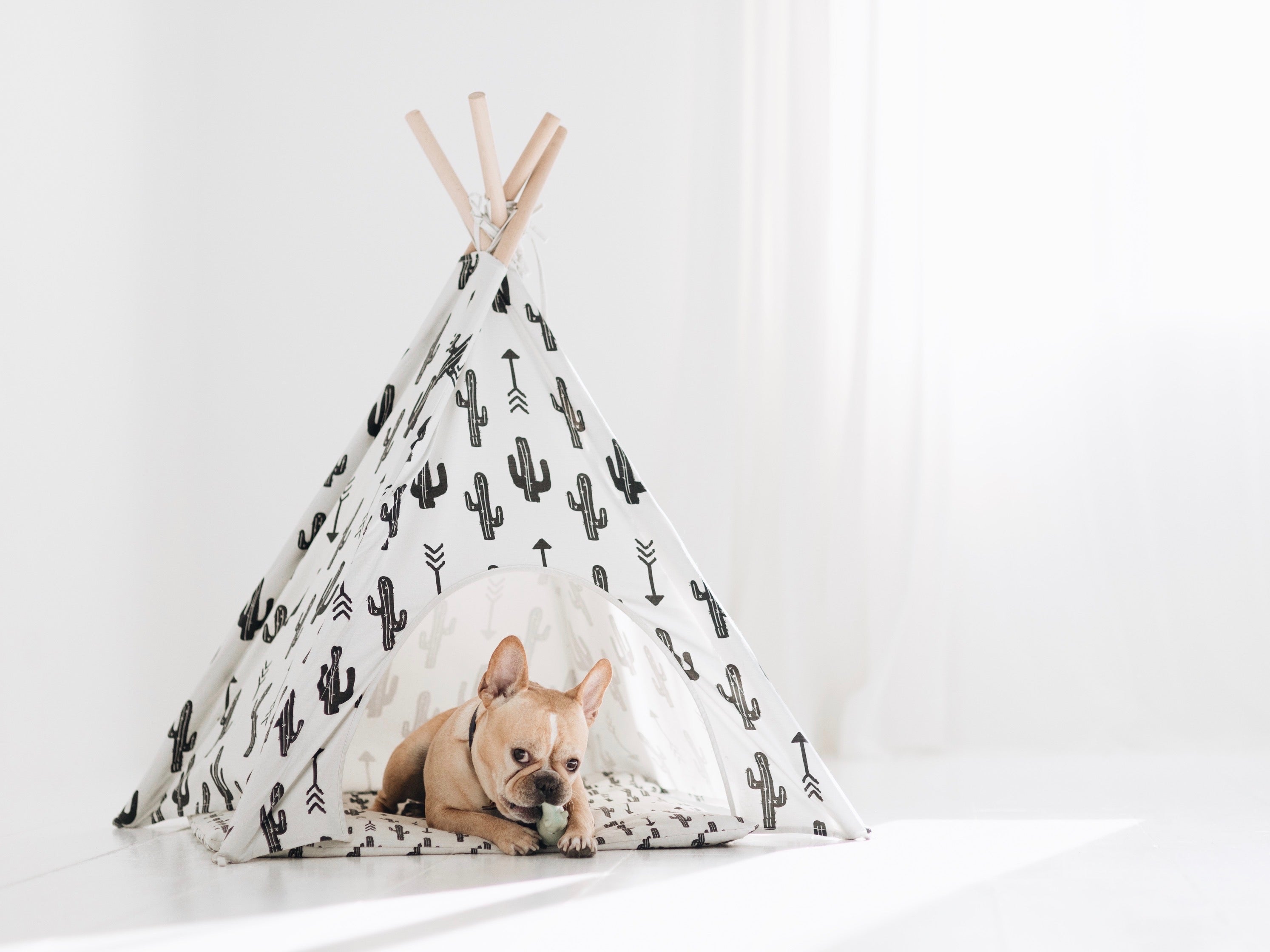 Cactus Dog Teepee