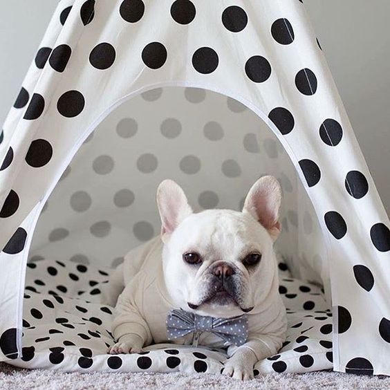 Polka Dots Teepee
