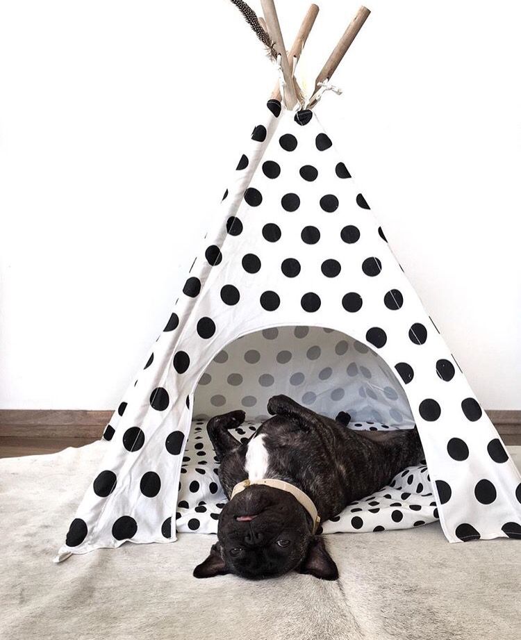 Polka Dots Teepee